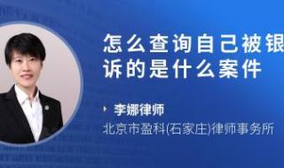 个人被起诉查询系统 个人被起诉查询系统