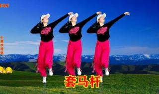 广场舞套马杆分解动作 广场舞套马杆分解动作